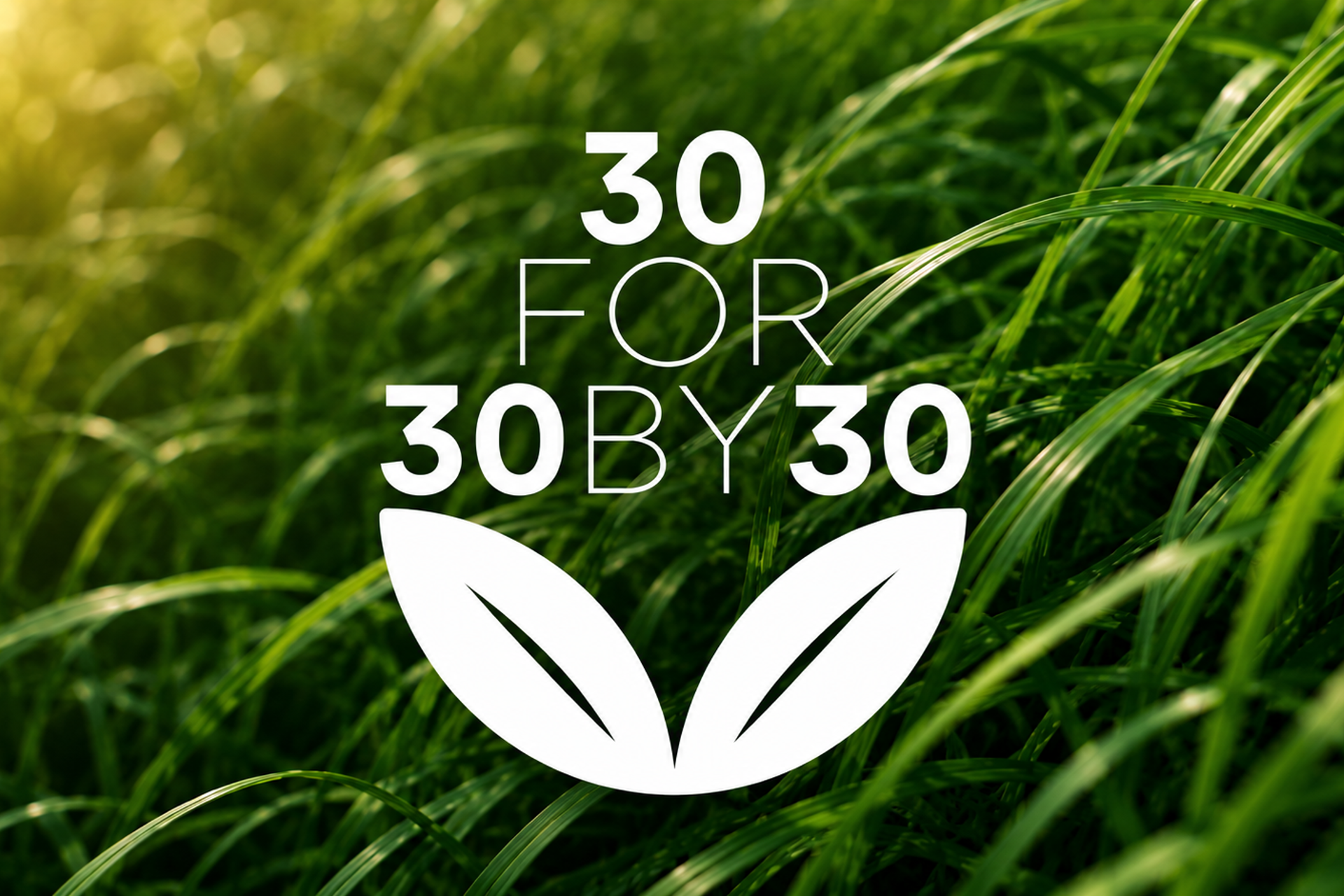 30for30by30bredformat.png