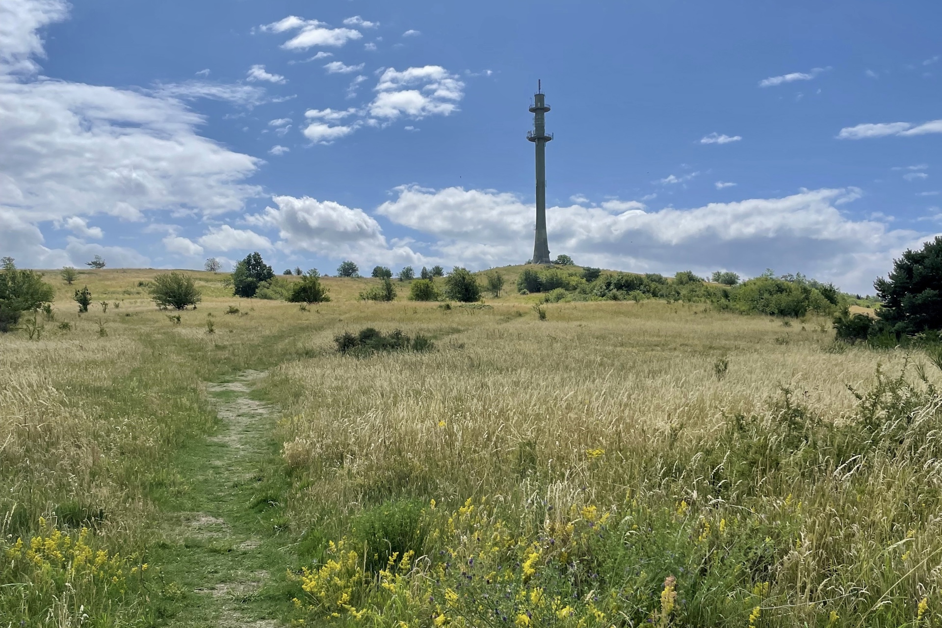 Pmradiotower